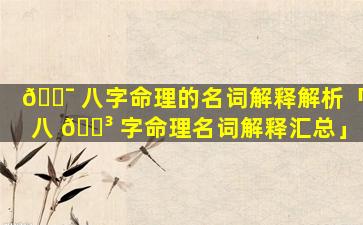 🐯 八字命理的名词解释解析「八 🐳 字命理名词解释汇总」